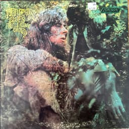 Blues From Laurel Canyon