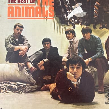 The Best Of The Animals